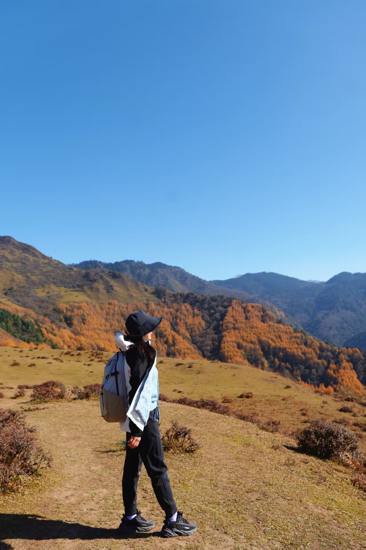 1764120181268958.jpg 96dad82a84afd7d2eedd211bdda863f.jpg