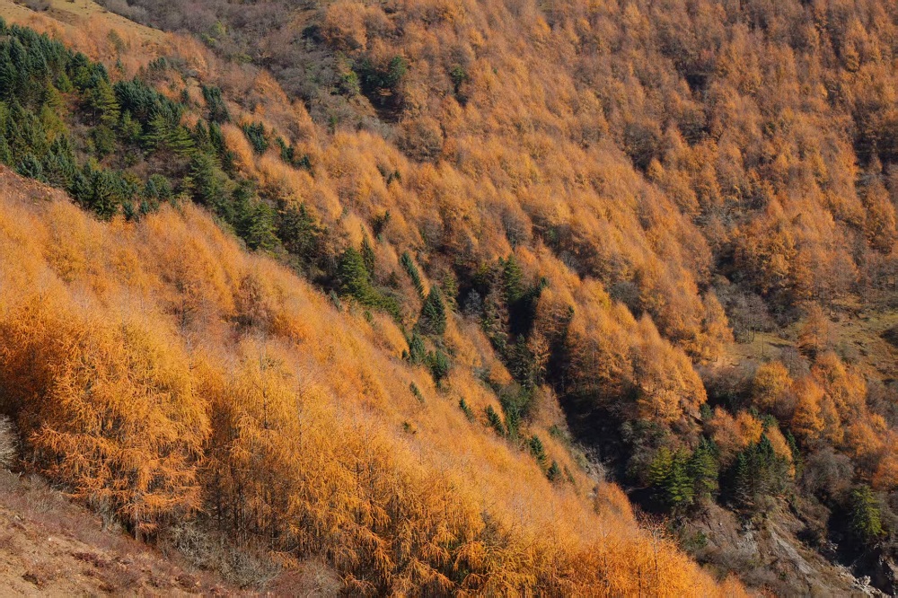 1764120303291655.jpg f59060934460c59311043ff4c8d26be.jpg