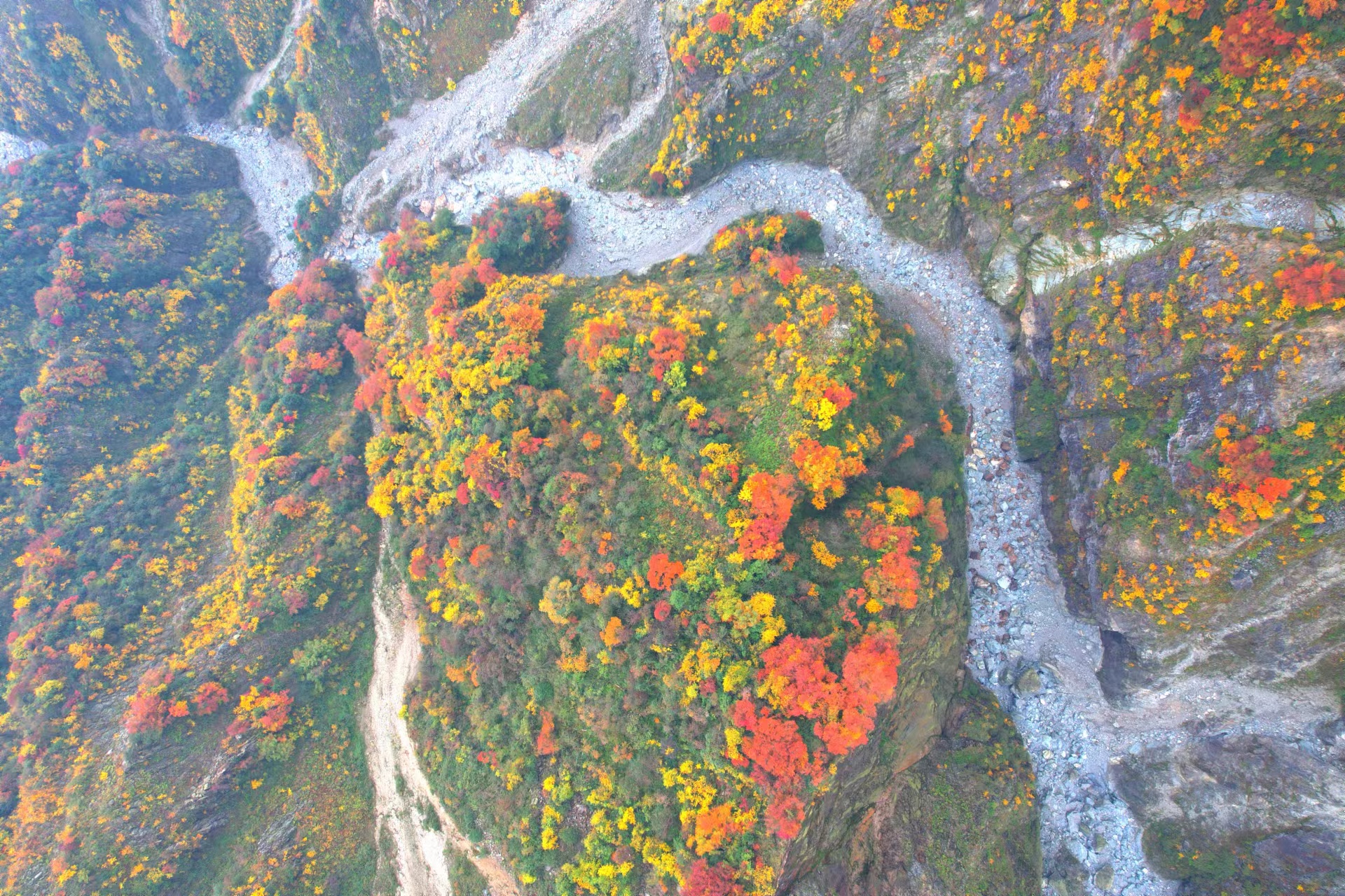 1764298221961886.jpg 1666575658725657.jpg