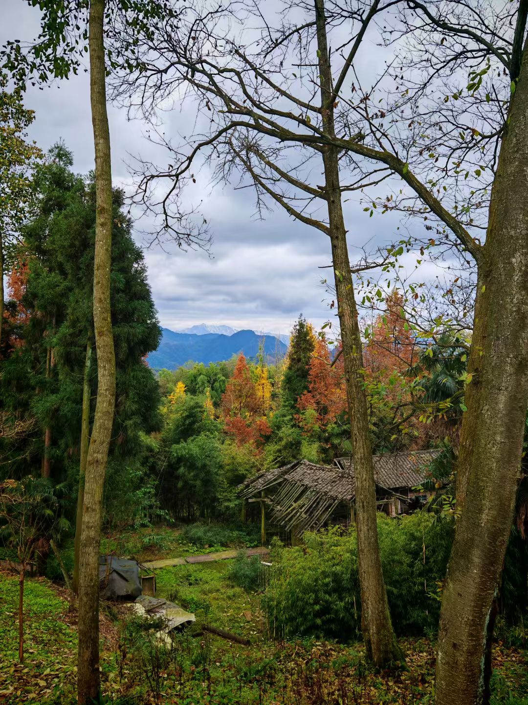 1764298402424613.jpg 1732688586262163.jpg