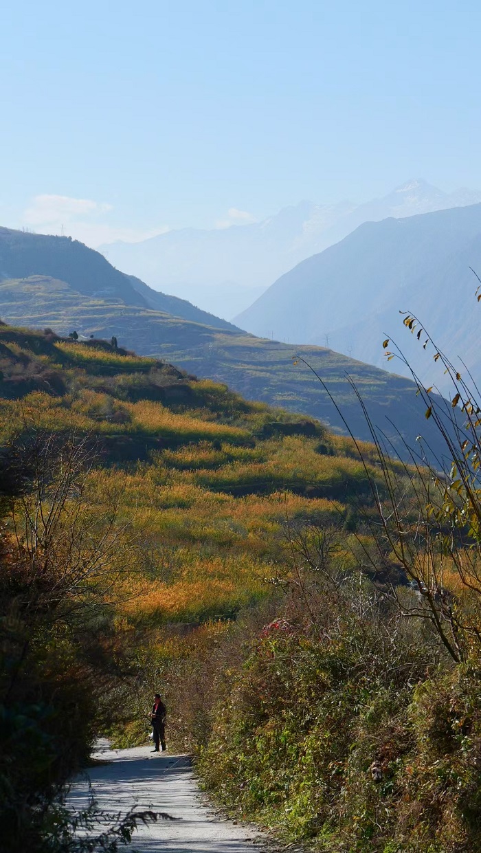 1764555037578890.jpg aa6533765899473388ec0f8896cf849.jpg