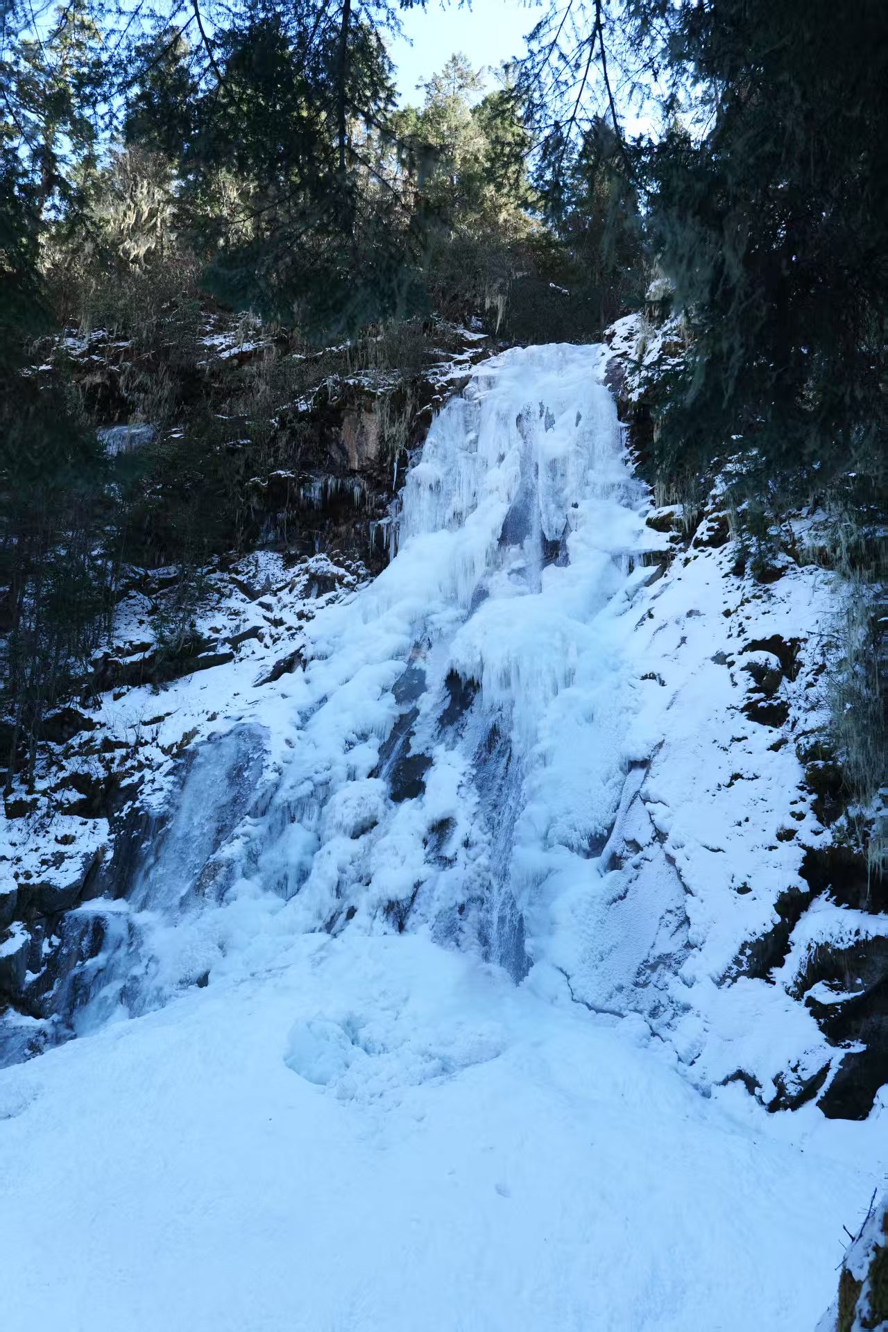 1764555089780616.jpg 7015cd3de0c0ef0cc65dd032f20a4f8.jpg