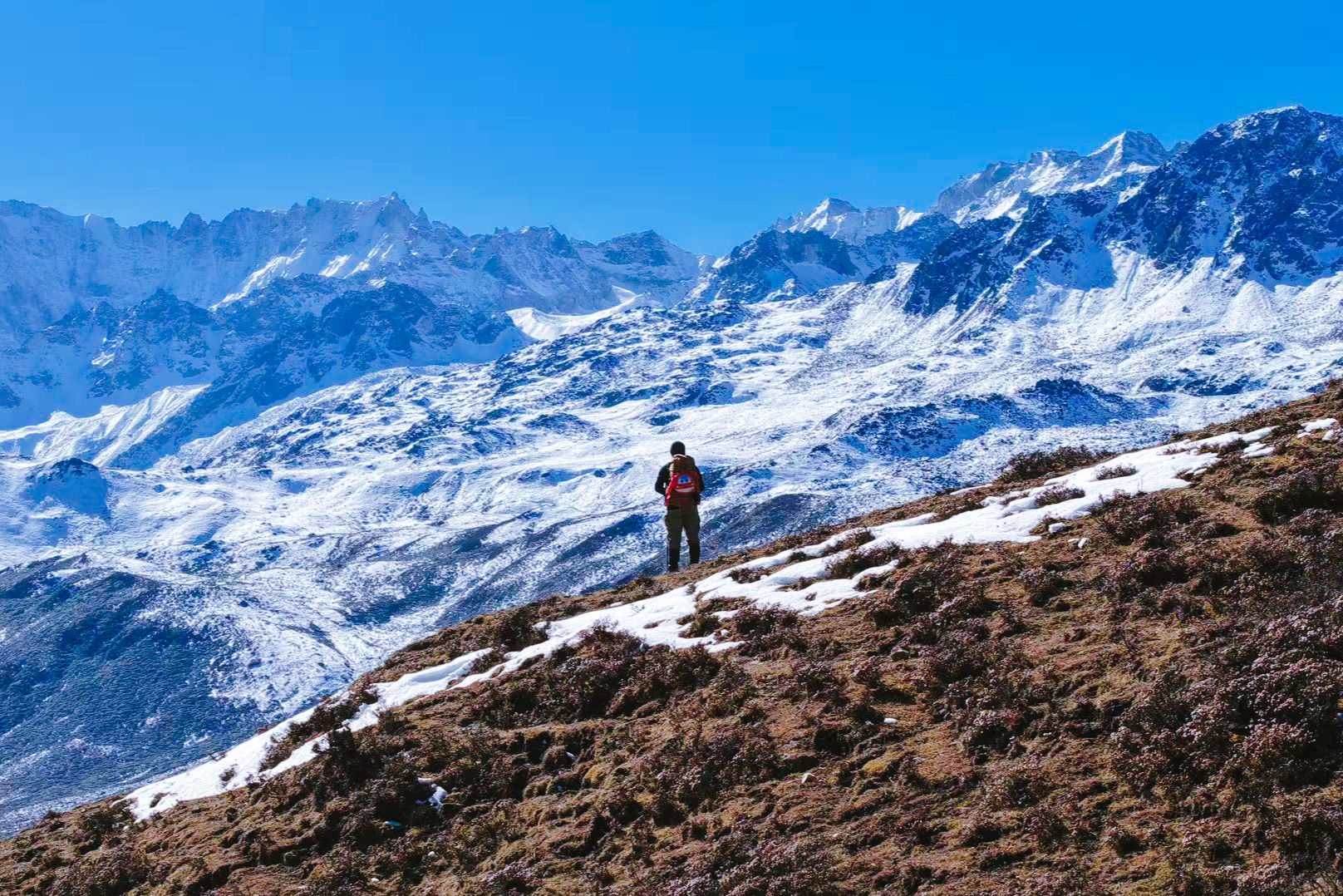 1764576395592965.jpg 518f617928fcb177d185b9bb70c8a43.jpg