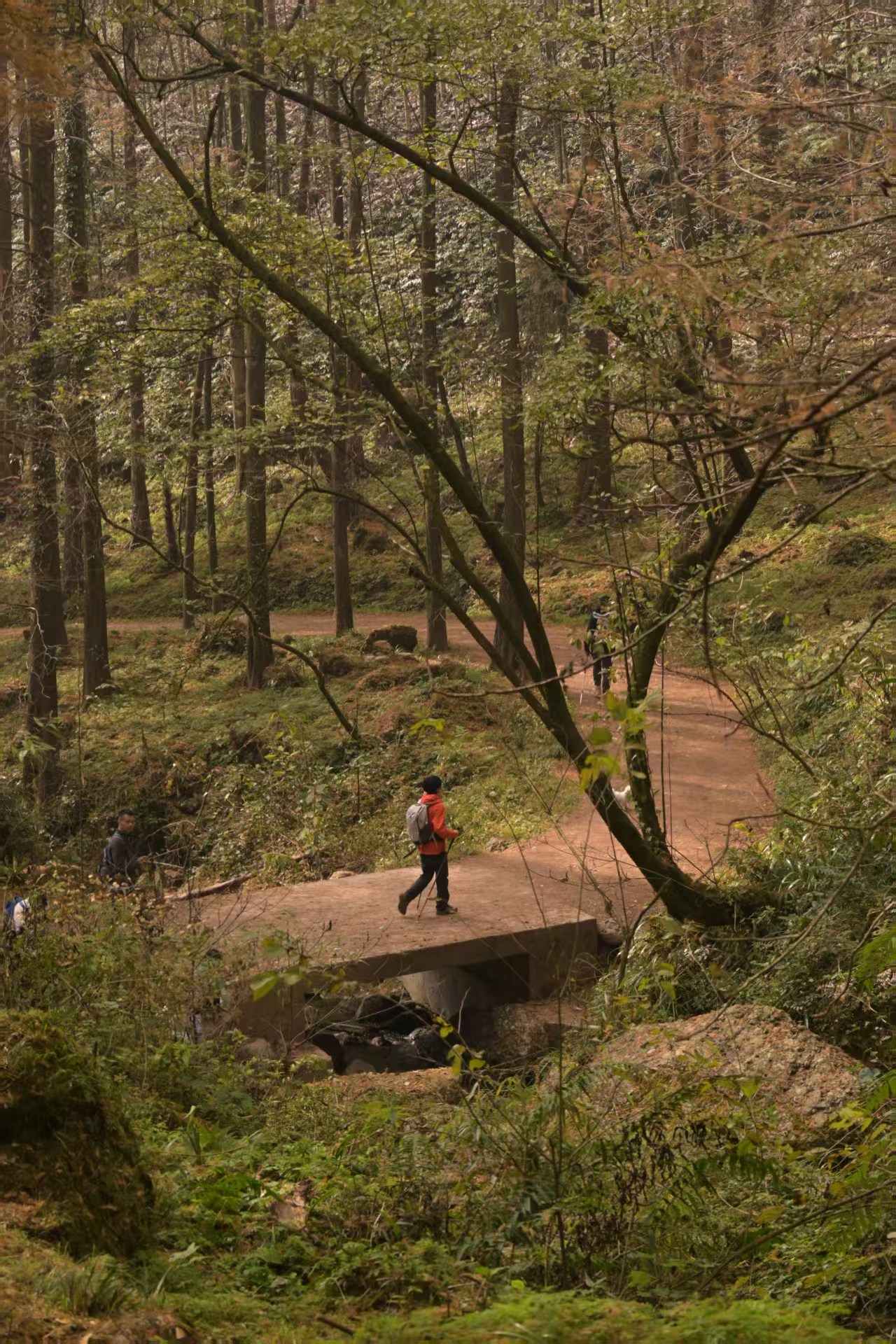 1764578993785103.jpg 1dc66a996a2e2a47bf0aa80f804a2a6.jpg