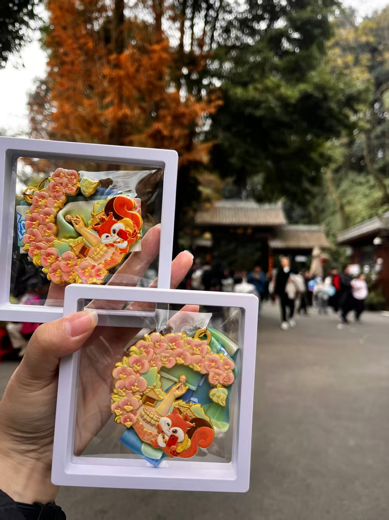 1764579059227190.jpg afa458a3818dcca3ecf2f3b39f6e630.jpg