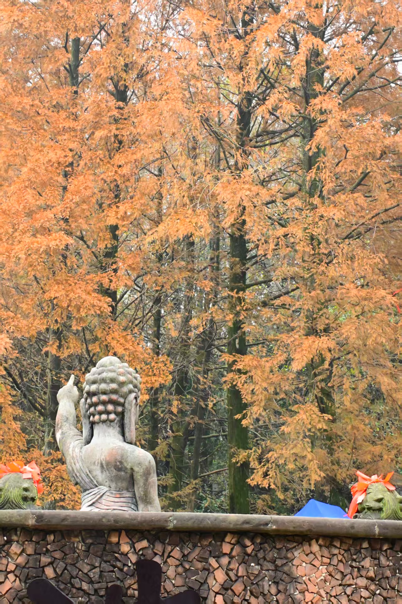 1764579066863318.jpg 264ac935996298f95ff610c15e04d68.jpg