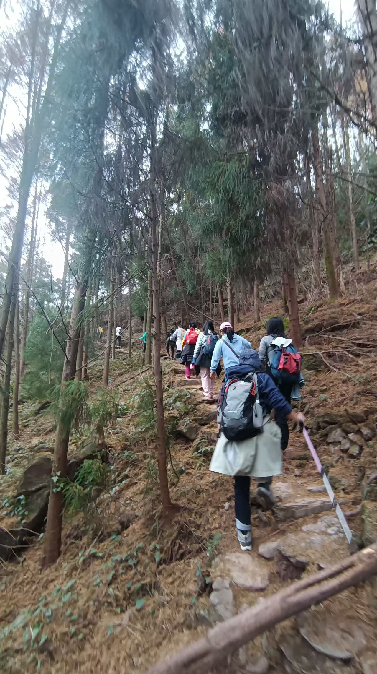 1764819162927076.jpg dcb22a3eed2fc02a6decd2cf6352482.jpg