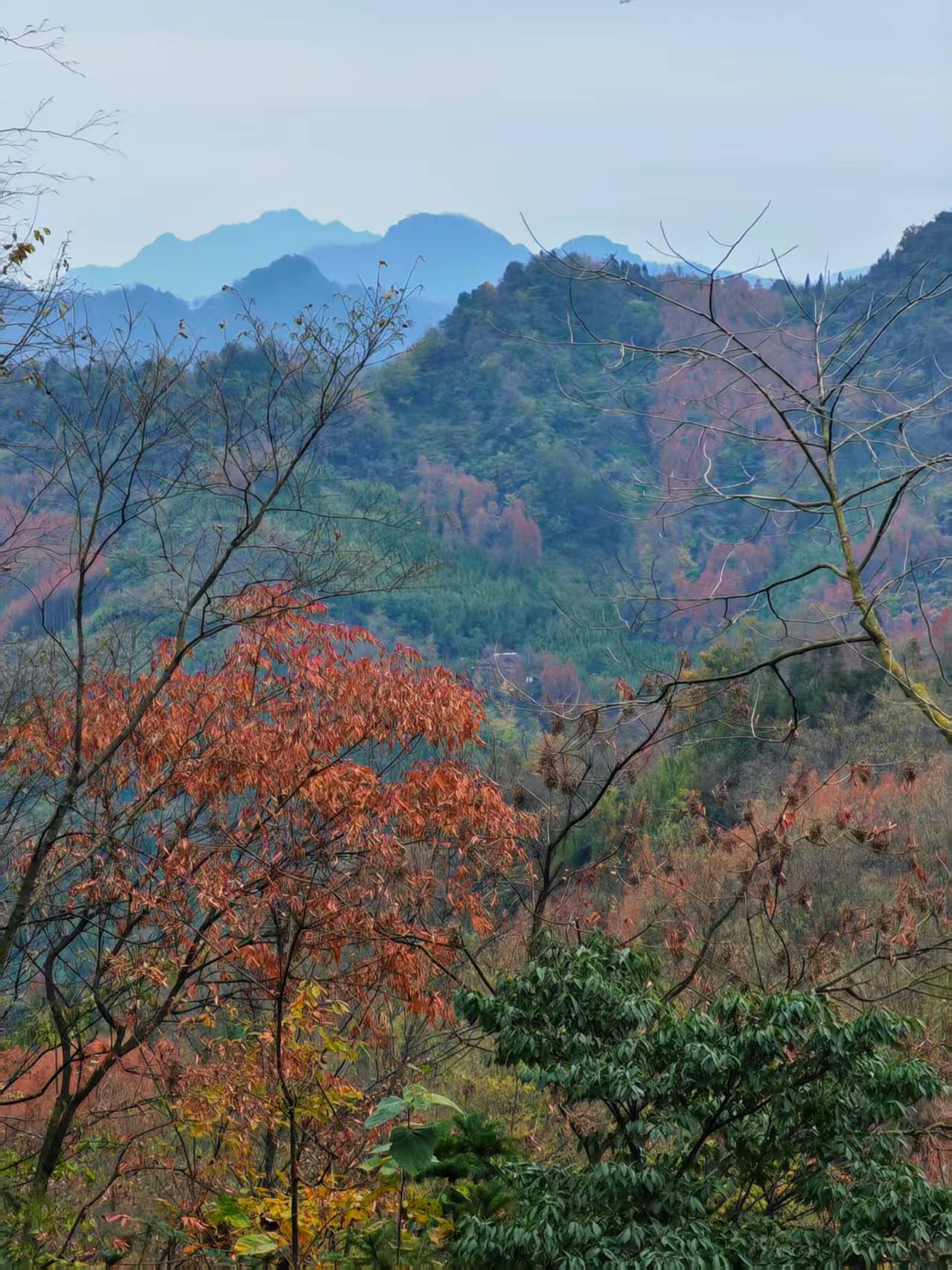 1764819170624706.jpg a947a60ee8afe92362f880443fb4718.jpg