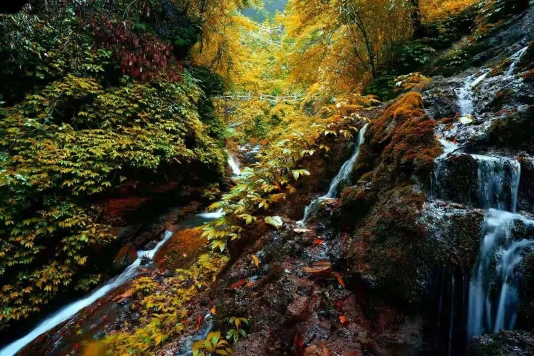 1764829997756802.jpg 640.jpg