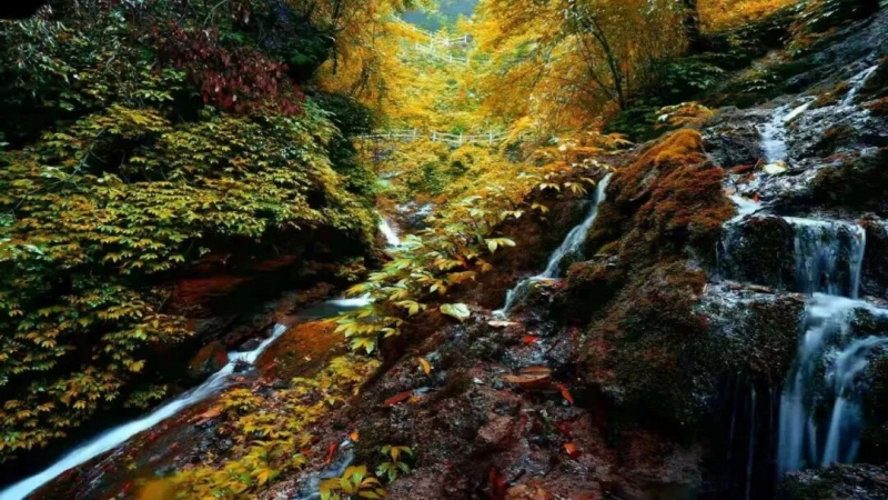 1764830441318698.jpg 02.jpg