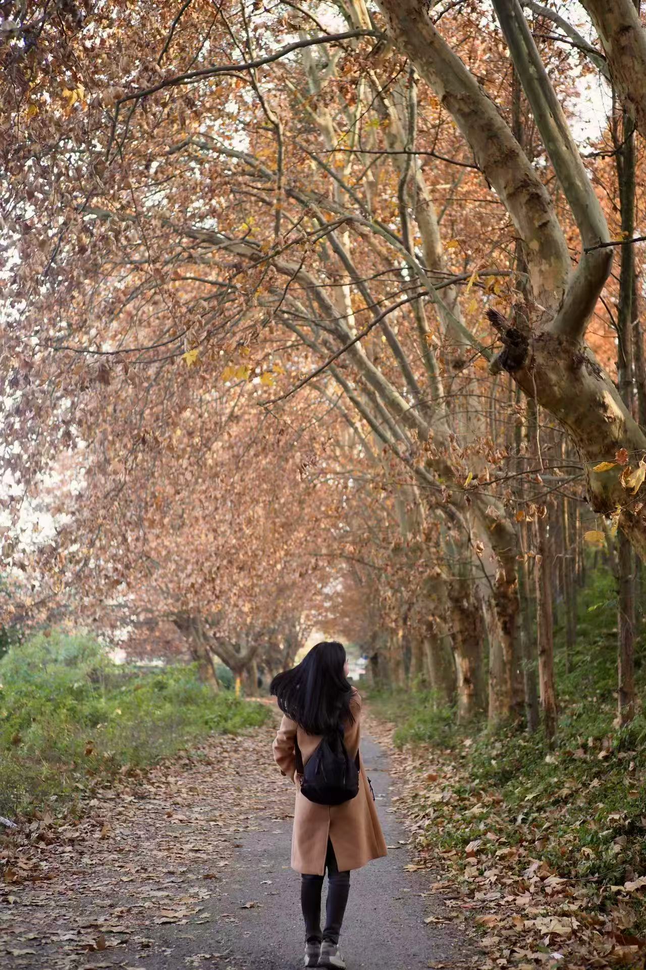 1764900230700605.jpg 微信图片_20251205100258.jpg