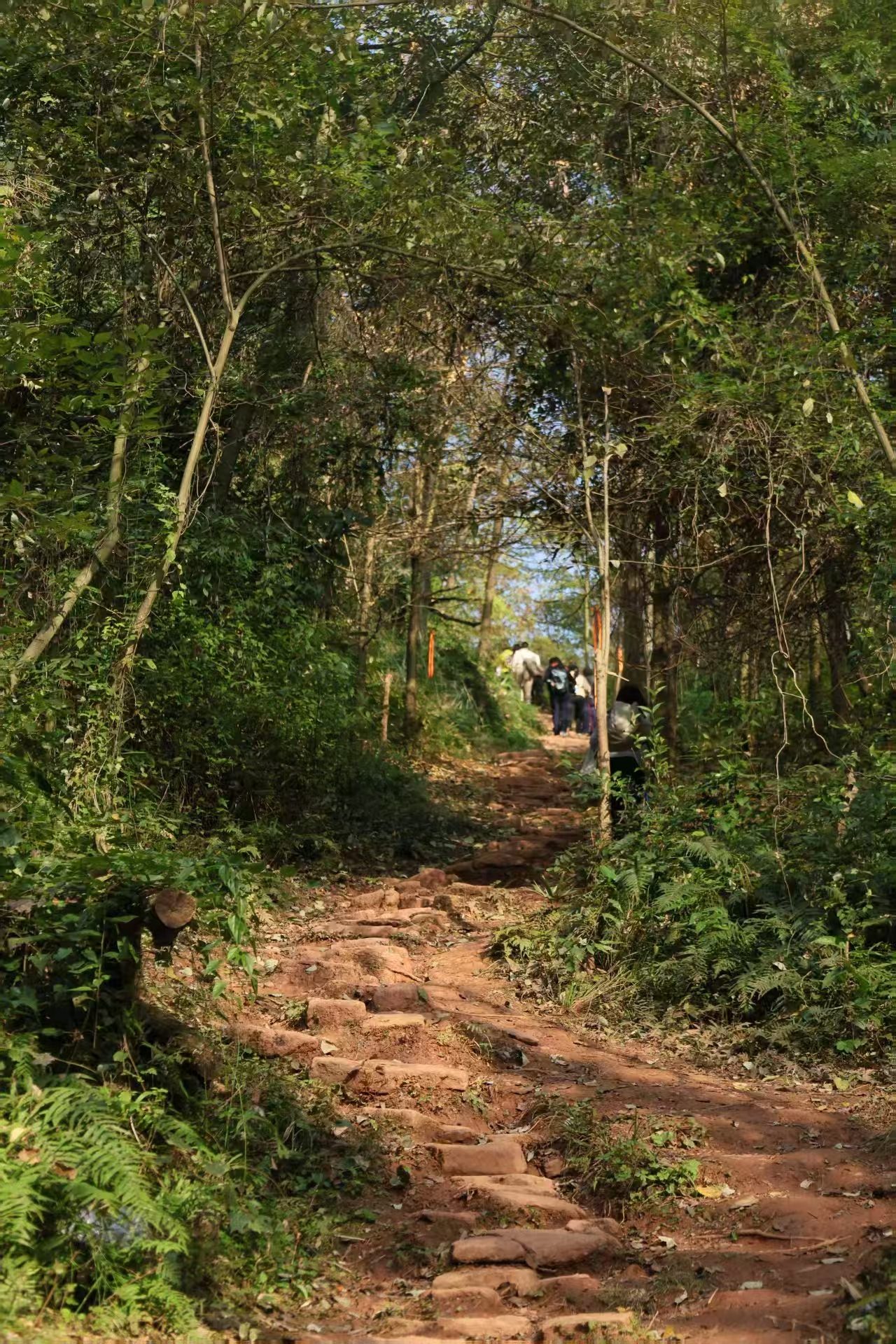 1764900399698367.jpg 微信图片_20251205100520.jpg