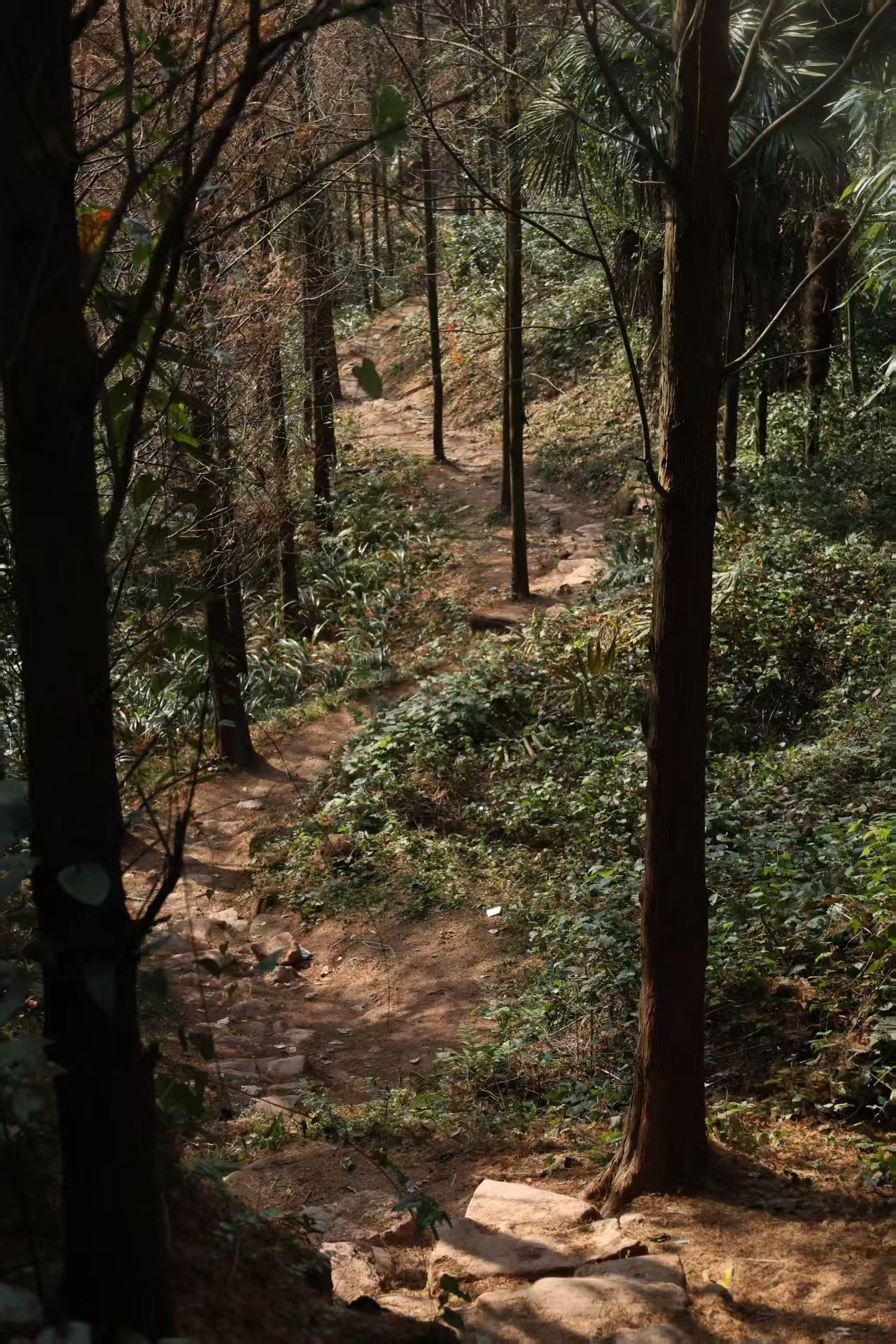 1764900401325252.jpg 微信图片_20251205100515.jpg