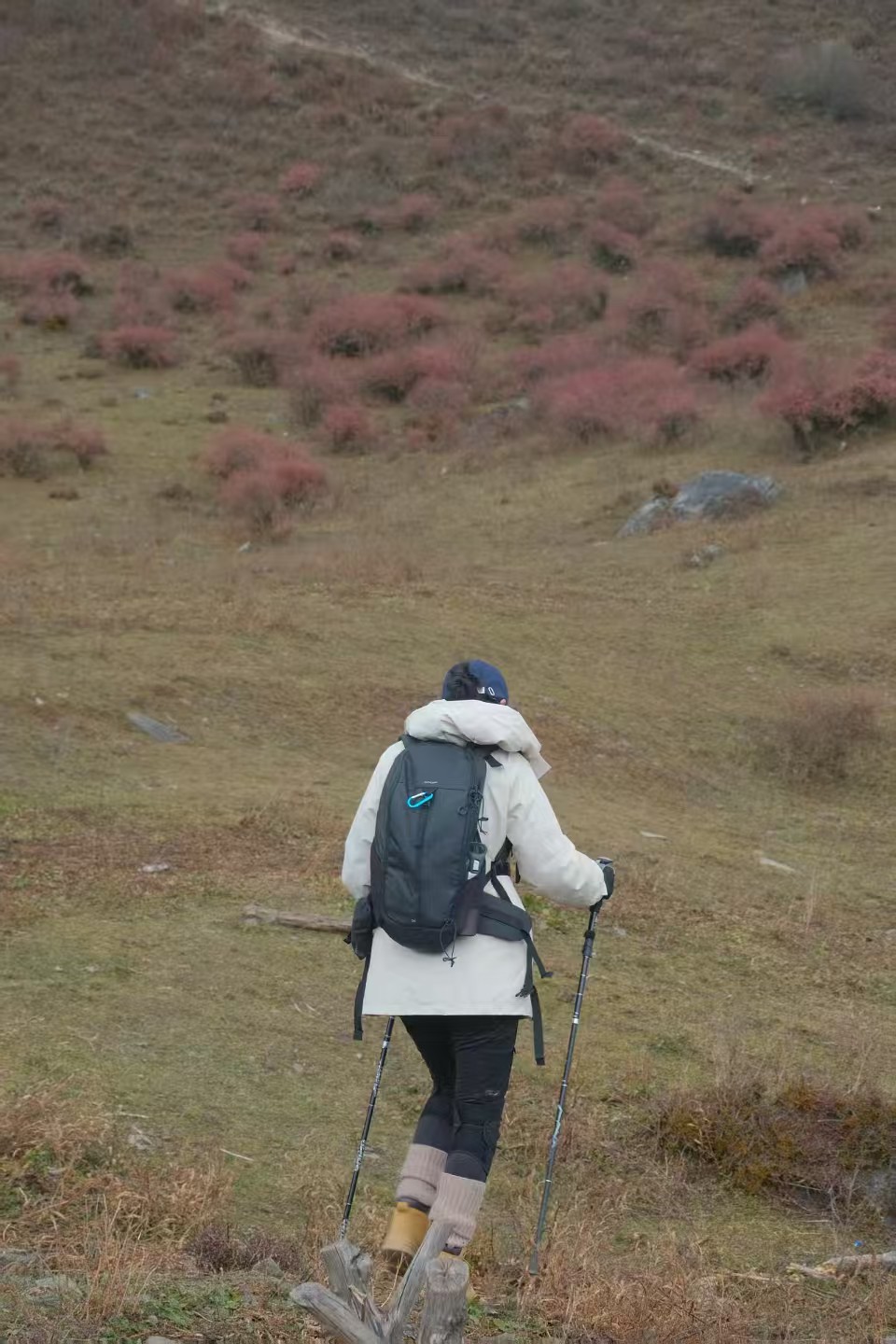 1764900689704130.jpg 微信图片_20251205101051.jpg