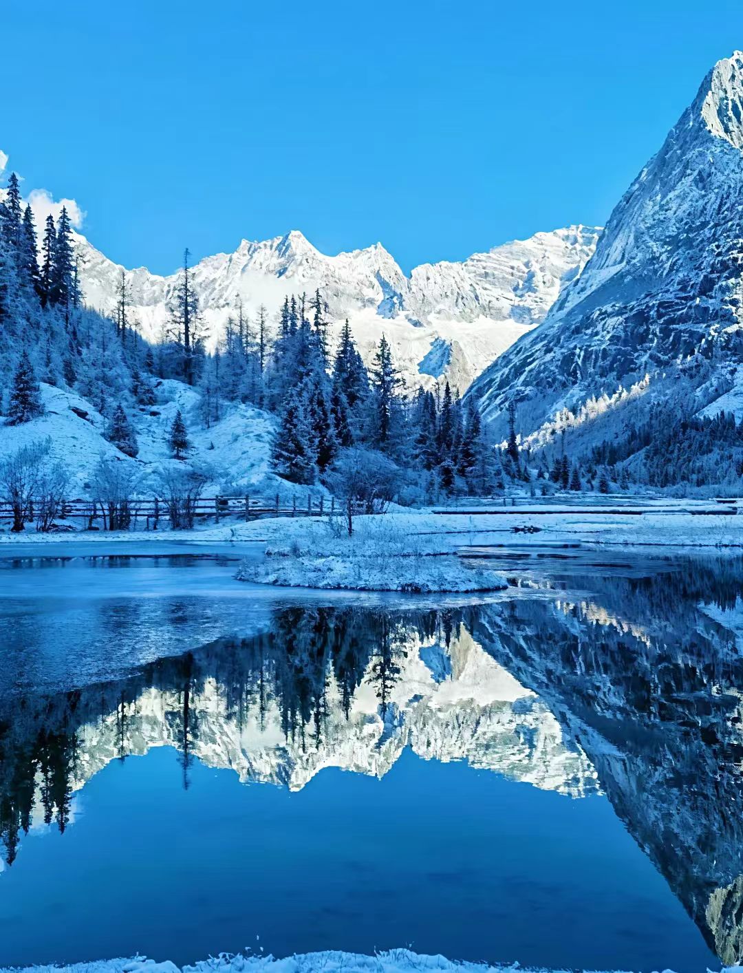 1765000696152289.jpg e229e4f229ecec23d3896a5823e82be.jpg