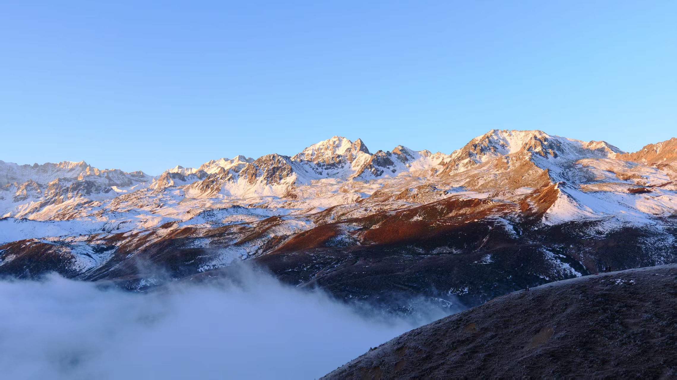 1765158058859134.jpg 微信图片_20251208094008.jpg