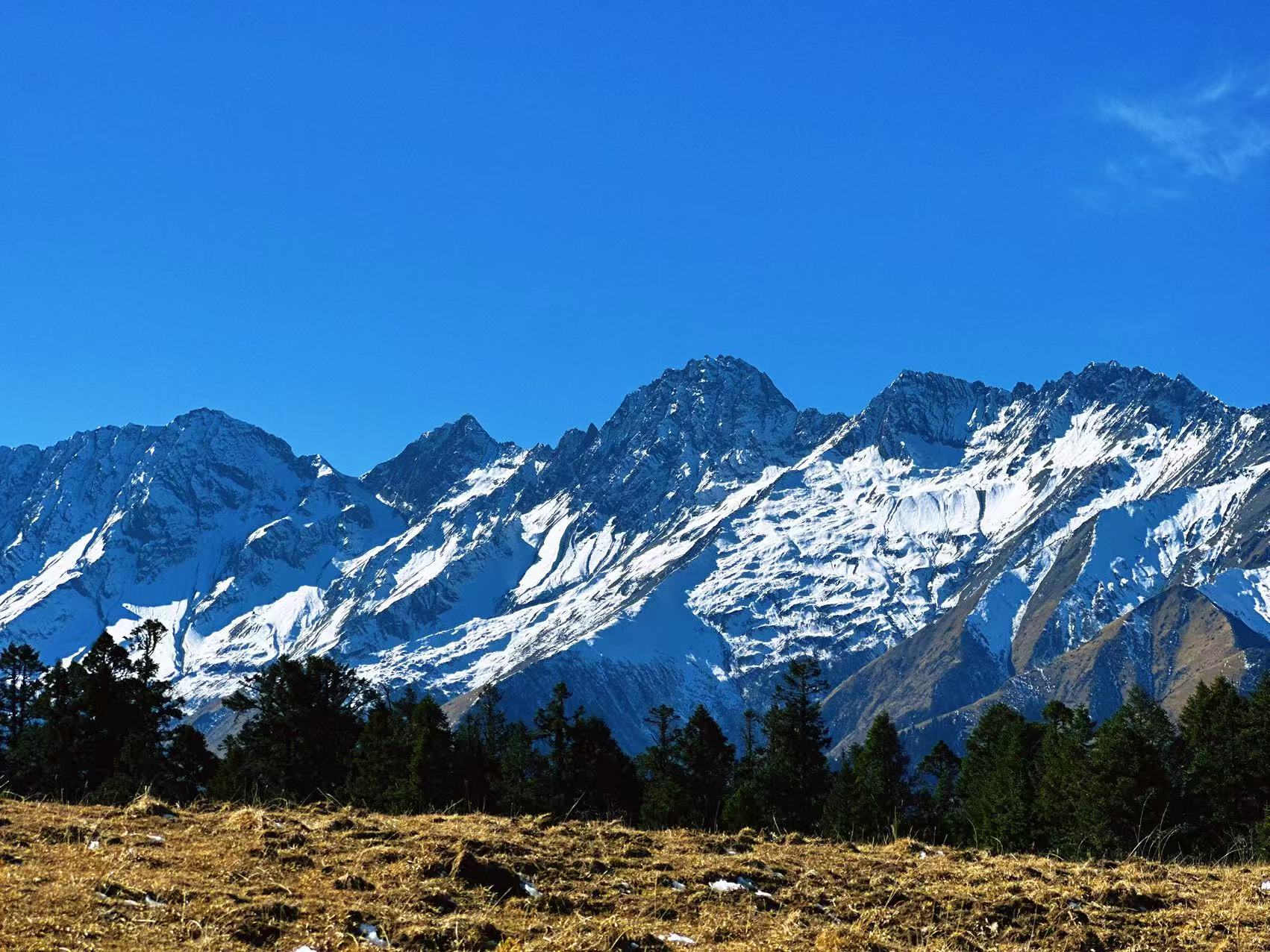 1765158431191387.jpg 微信图片_20251208094552.jpg