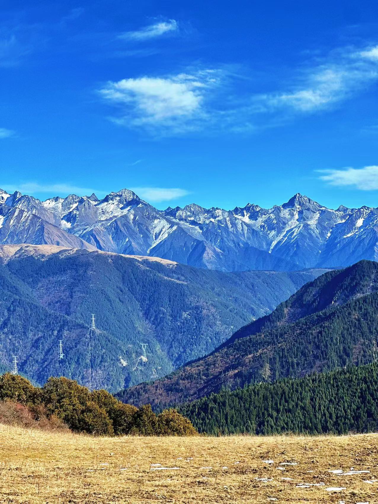 1765158434652096.jpg 微信图片_20251208094556.jpg