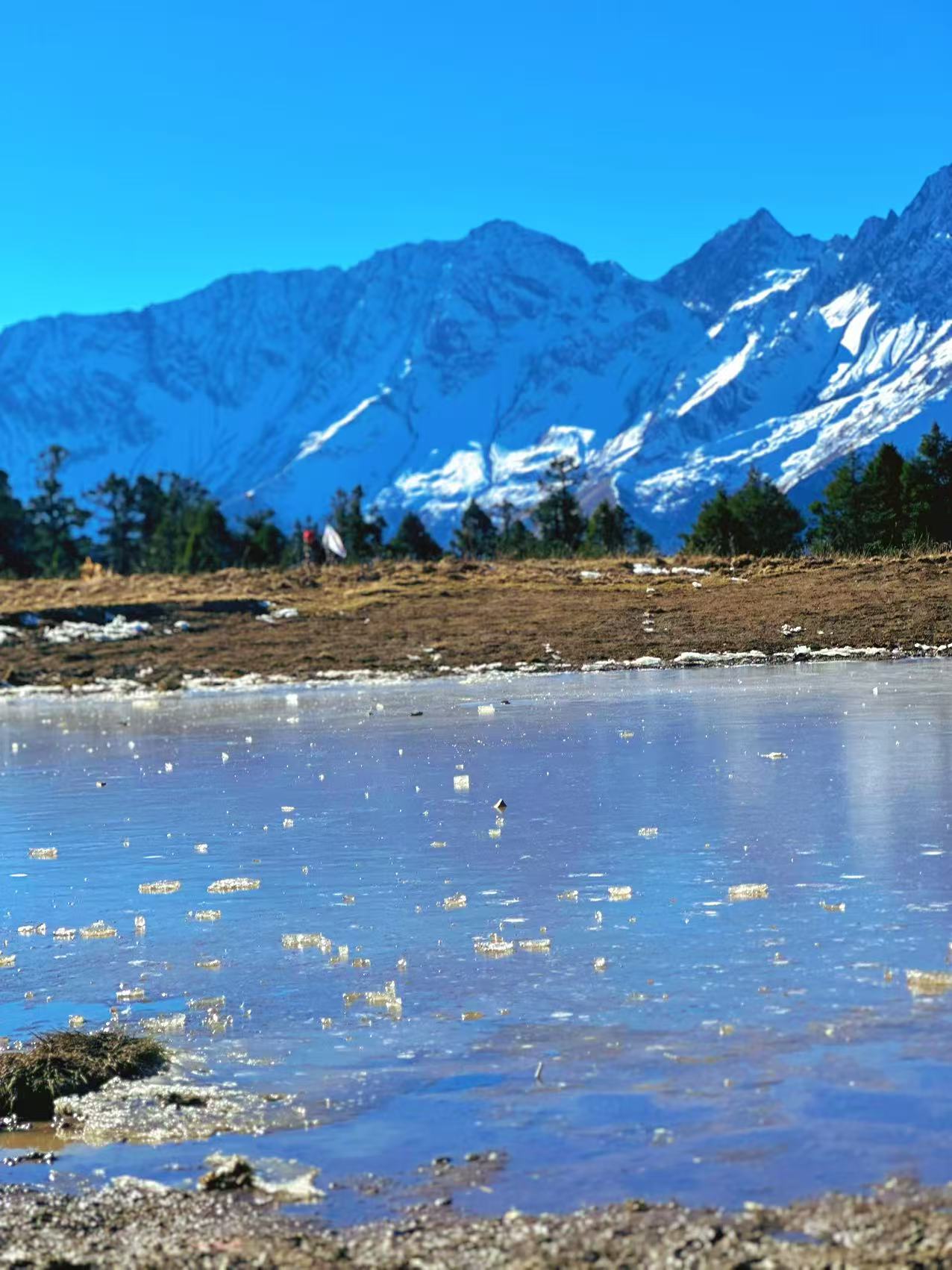 1765158436897873.jpg 微信图片_20251208094559.jpg