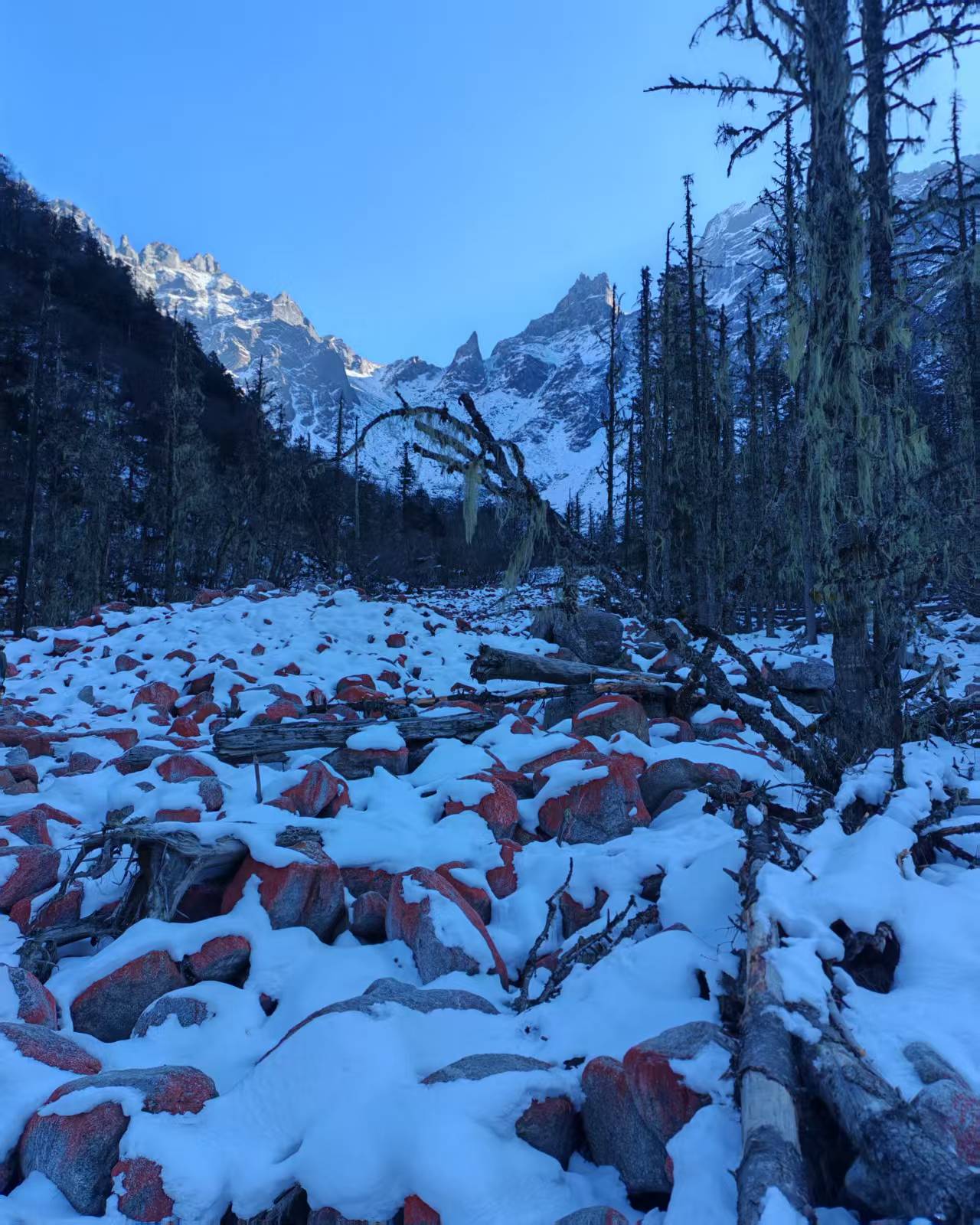 1765245408107043.jpg f044d3d22e513f688af4bb07e180dbb.jpg