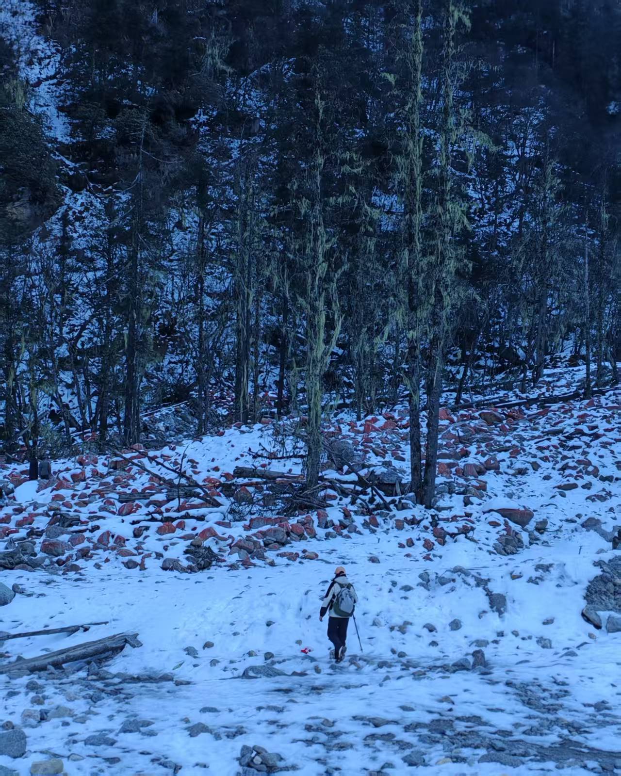 1765245417268285.jpg b9327f2257821dd74ed7ccc1ed3cbf9.jpg