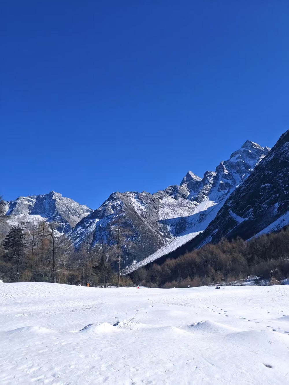 1765259200734842.jpg 0e92430760df75541d15c74dc3547bc.jpg