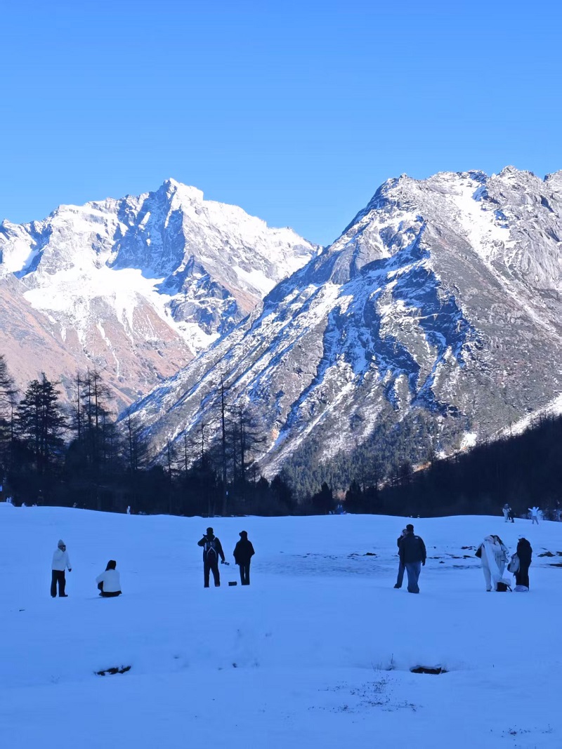 1765259230445673.jpg 0f84710cd5c39b7f01141fbab6fa543.jpg