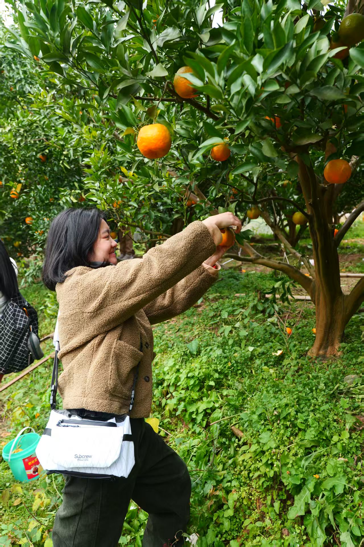 1765785976415027.jpg fe6f21469cd7d16ca4e4a3f66b63c58.jpg