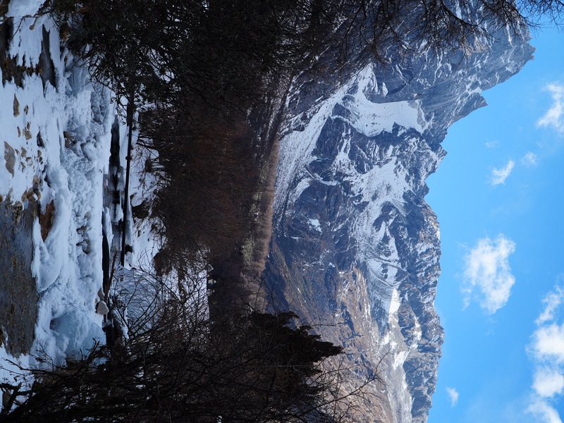 1767260131204302.jpg d84ab02d515f376d3de06183538215e.jpg