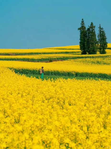 1768805207314989.png 6adfbf8be53ba629aafd114e2f82a41.png