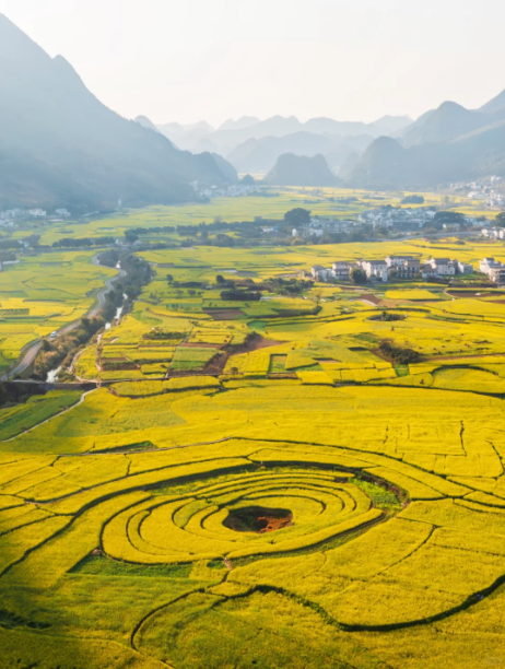 1768805243381644.png 00a02cba62fd85d0b60450740b642df.png