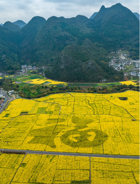 1768805260577488.png 350f38ecfc741b7a19c6ea2aedcf32e.png