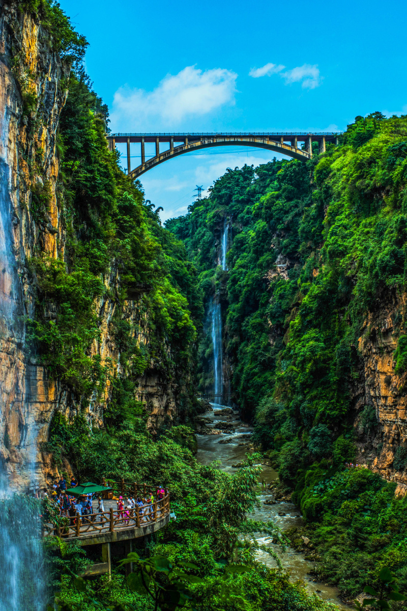 1768805271630634.jpg 779752631.jpg