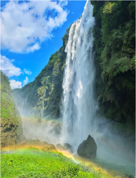 1768805281609584.png 1873a236186564d814441cf3c4d42fb.png