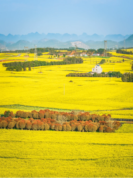 1768805301852196.png def01e9a7a3a23d67f8c3e7a2fac486.png