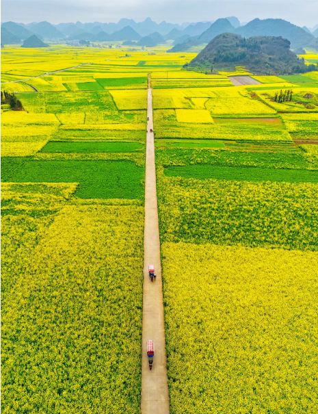 1768805310220916.png c34077b535cd489c4b995acd6f87d6f.png