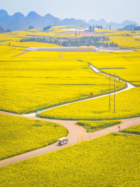 1768805321635627.png 6dfe5f9c1568b793890f0aba21abfe4.png