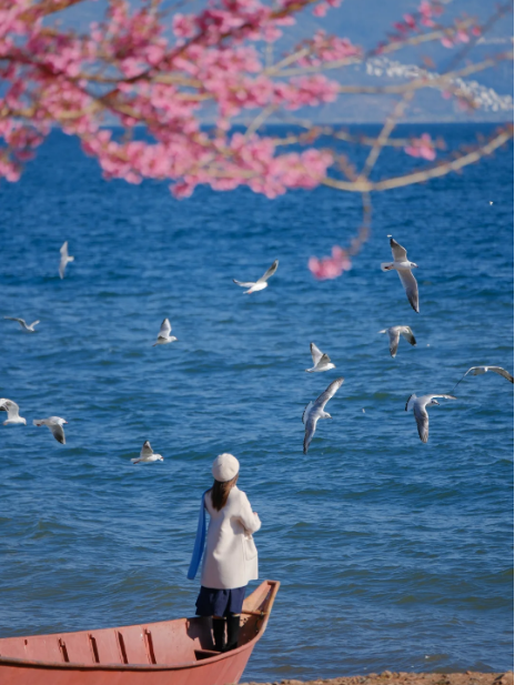 1768805330444595.png 9a92b462e0801ad90b372526d002b69.png