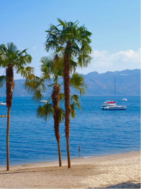 1768805347522172.png fc59de85c2f661d070115298a62824f.png