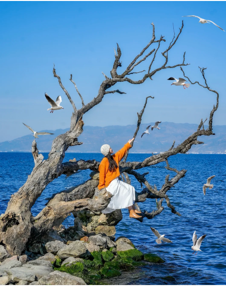 1768805372161425.png bd29ca62512ded366e7a0d24a4faa3f.png