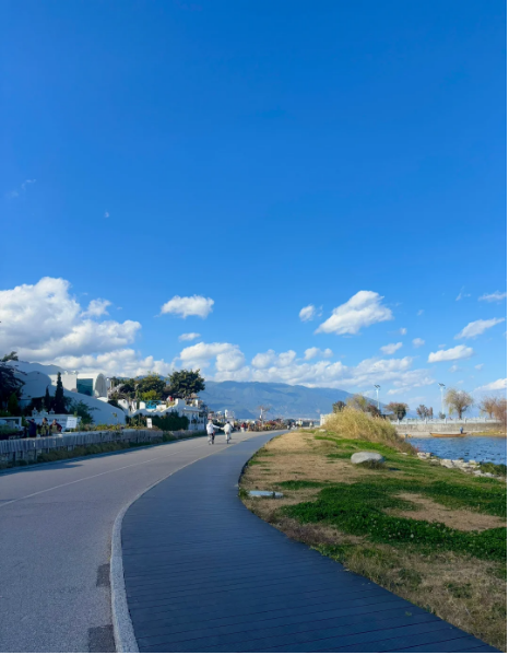 1768805382802427.png 19ce5b2b8e4644b62a04755c001713f.png