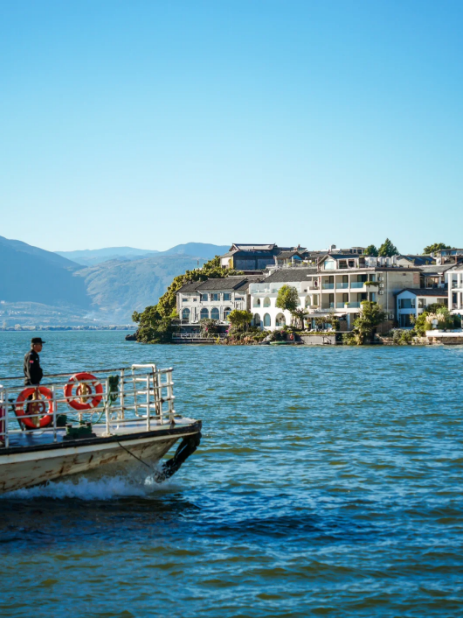 1768805427621192.png 8ff6b79ea1b2668b672e349ebdfaf76.png