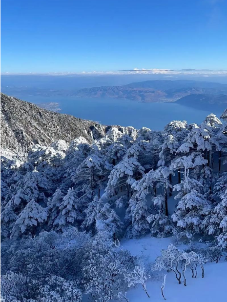 1768805443652313.png 703c78e7d6fe08087fe8d7473647585.png