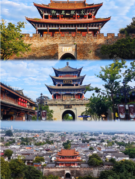 1768805452622016.png 51e733d49fe9725507399e262b87587.png