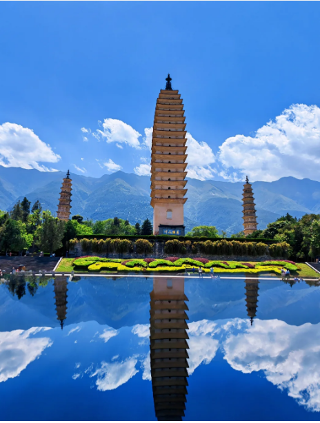 1768805479253954.png a2c8b4fa6376559a2b4543a0755eba8.png