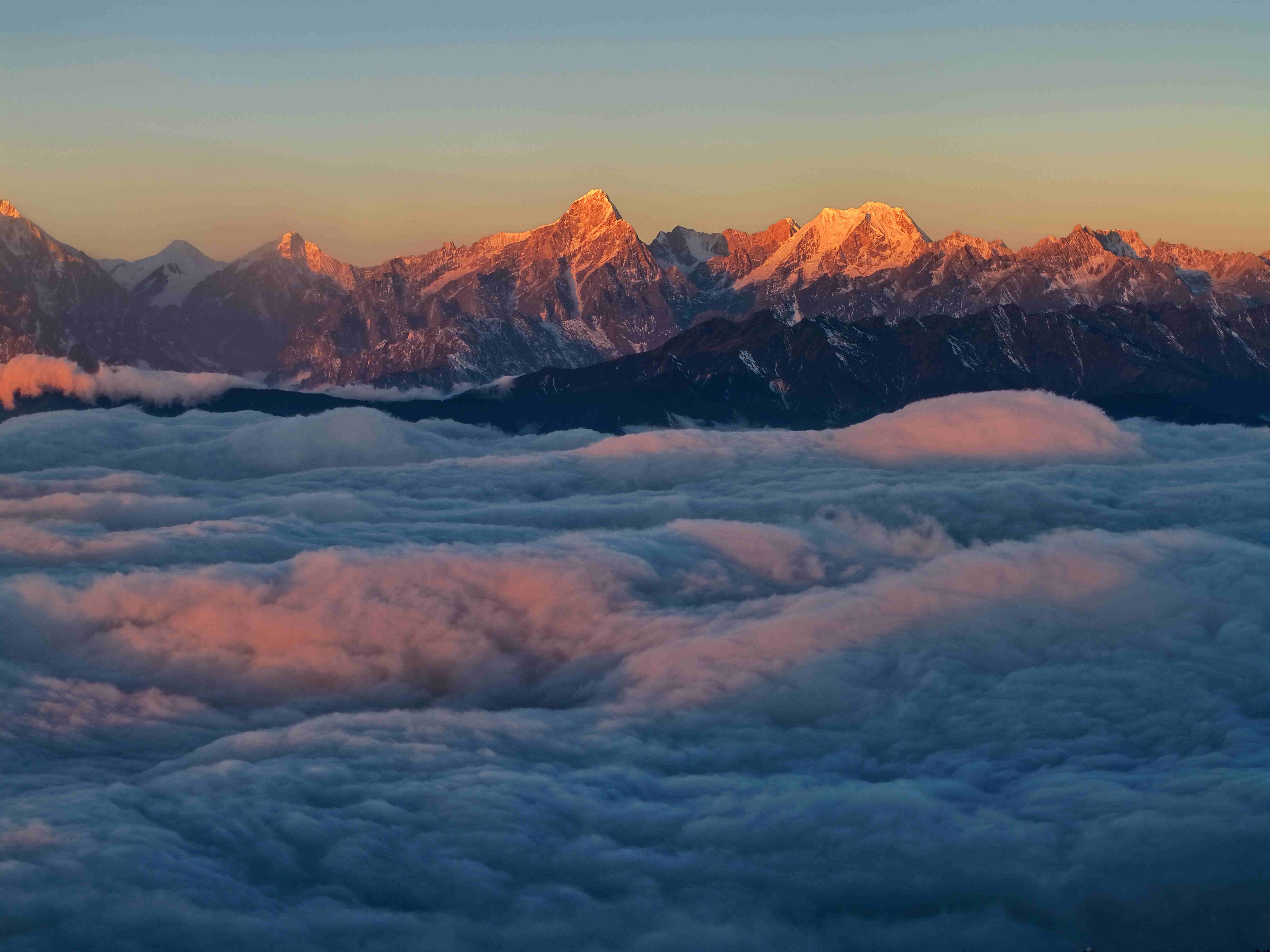 1770170110498450.jpg 微信图片_20260204095325.jpg