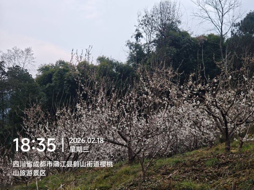 1771466835718729.jpg 微信图片_20260219100344_620_19.jpg