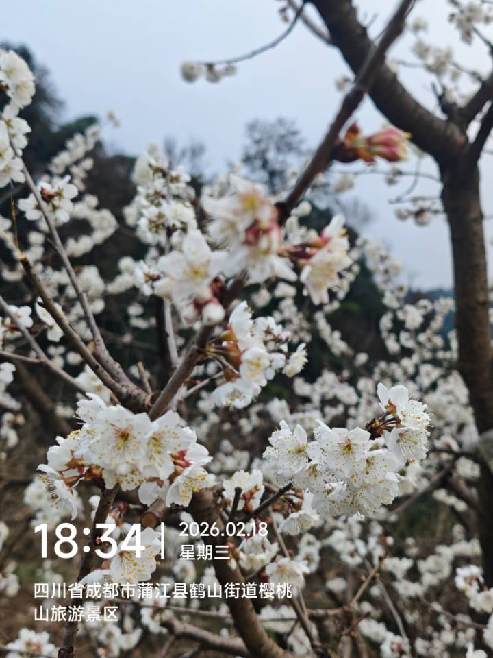 1771466839165990.jpg 微信图片_20260219100345_621_19.jpg