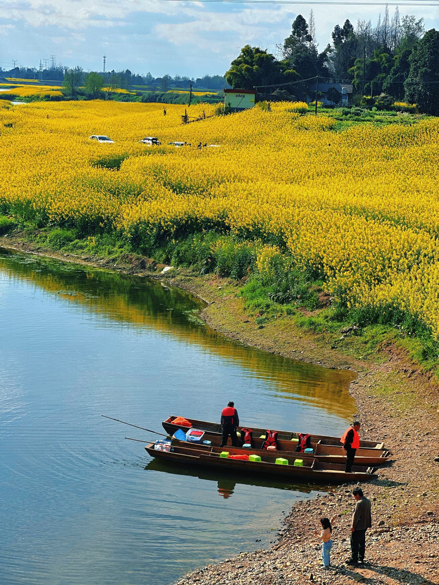 1772415343661617.jpg 0bfdfd2924dd6ff418878f76780bd545.jpg