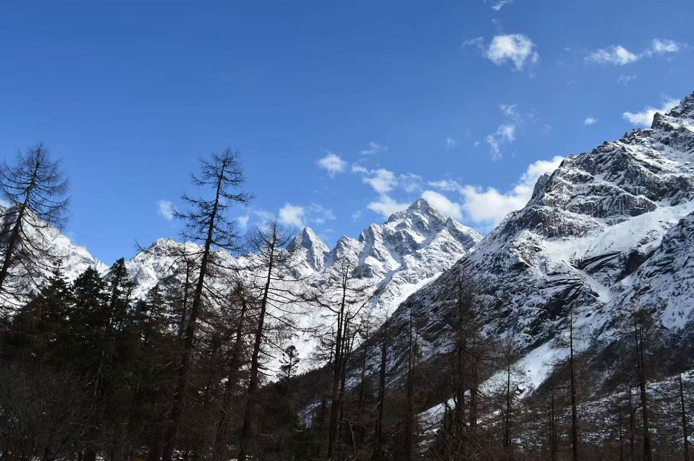 1772416530791634.jpg 8d42f72f167056956a820d668904af67.jpg